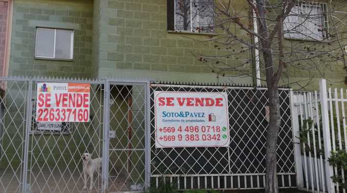 Familia de Puente Alto habría dejado una mascota encerrada tres meses sin alimento y agua