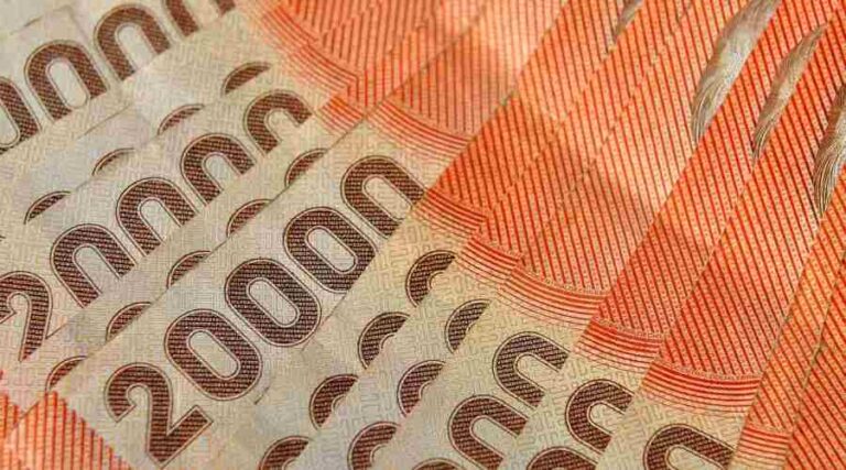 Quienes recibirán el bono Chile Apoya de invierno y cuáles son sus beneficios