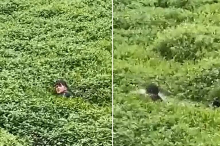 ¡Estai tapado en caca, ahue…!”: graban a delincuente que se lanzó al estero Marga Marga