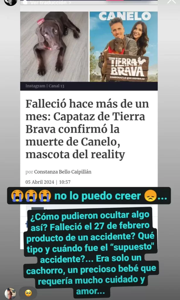 angelica sepulveda 2 La tarde de este viernes se dio a conocer la triste y repentina partida del perrito de Tierra Brava