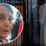 «Por el bienestar de sus nietos»: familia de mujer hallada muerta dentro de una maleta en Recoleta tomó drástica decisión