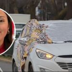 «Ellos venían como jugando en la carretera,  y…»Familiar de mujer asesinada mientras conducía en San Pedro de la Paz entregó estremecedor dato