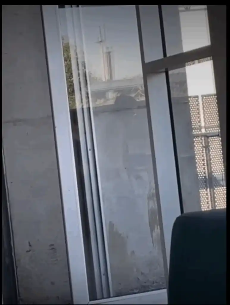 image 2 773x1024 1 Una serie de videos grabados por estudiantes de la Universidad Católica se viralizaron en redes sociales, mostrando a dos alumnos en una situación íntima dentro del campus San Joaquín. Las imágenes generaron impacto debido a que fueron captadas desde el exterior, a través de un reflejo.