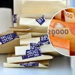 ¿Cuánto gana un candidato presidencial por tu voto? Servel revela los montos por sufragio en Chile 4 ¿Cuánto gana un candidato presidencial por tu voto? Servel revela los montos por sufragio en Chile