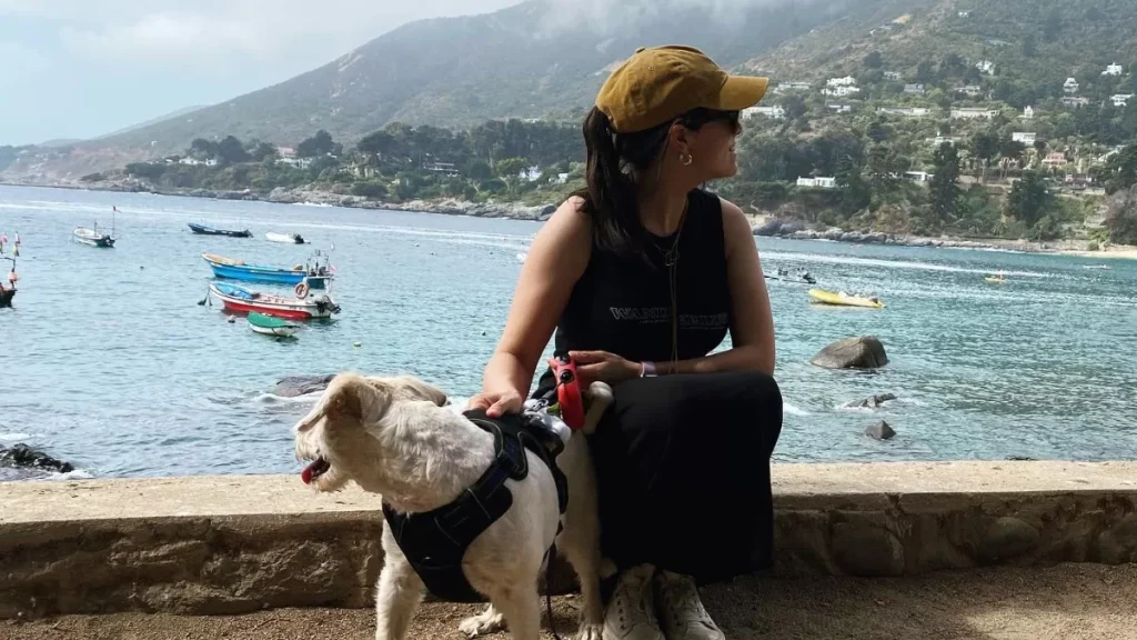 canal 13 La emblemática periodista Andrea Pino abandona el bloque de Teletrece AM. Entre bromas y mucha emoción, sus compañeros confirmaron su salida definitiva del horario.