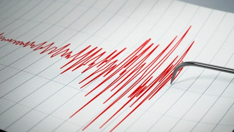 borrador automatico 14 ​Un sismo de mediana intensidad sacudió a la zona centro-sur de Chile durante la tarde de este domingo, encendiendo las alarmas de la población.