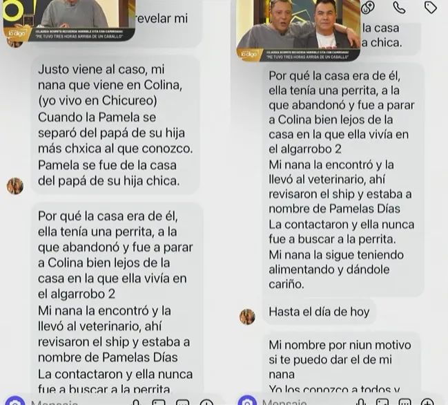 "La contactaron y ella nunca fue a buscarla": La grave acusación que apunta a Pamela Díaz tras quiebre con ex pareja 2 Pamela Díaz enfrenta grave acusación por presunto abandono de mascota tras quiebre con Fernando Téllez