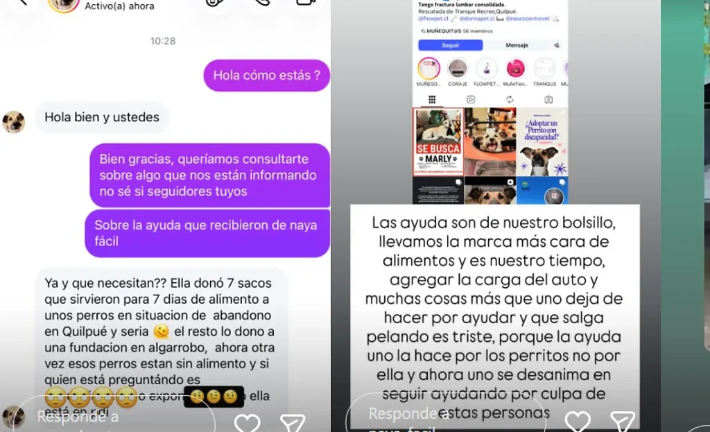 “Ahora nos anda pelando”: Naya Fácil enfrentó a mujer que cuestionó su donación para perros 2 Borrador automático