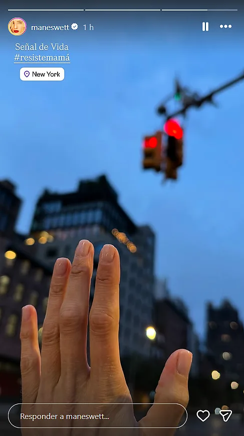 “Señal de vida”: Mane Swett reapareció con breve mensaje tras audiencia por su hijo en Nueva York 2 Borrador automático